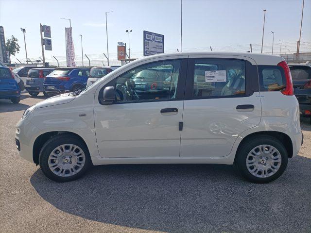 FIAT Panda 1.0 FireFly S&S Hybrid PREZZO REALE