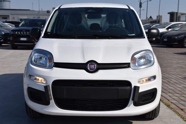 FIAT Panda 1.0 FireFly S&S Hybrid Icon *SENSORI*
