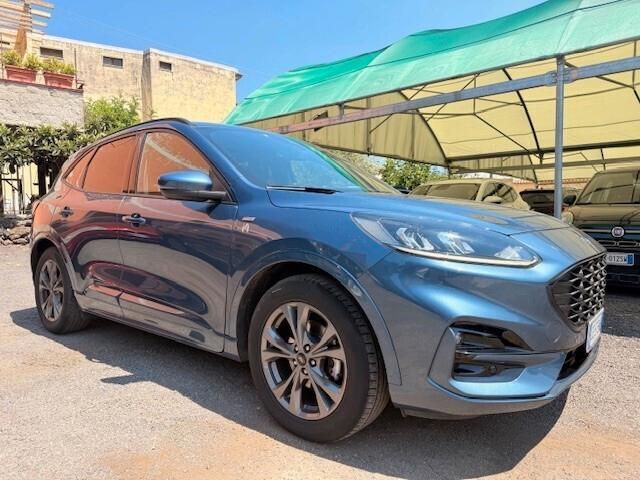 Ford Kuga 1.5 EcoBlue 120 CV aut. 2WD ST-Line N1