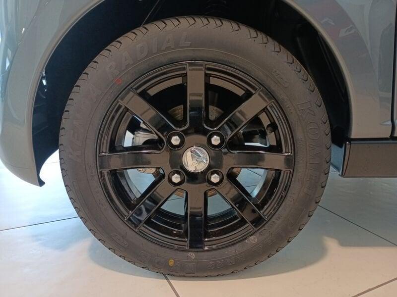 Aixam Minauto Access