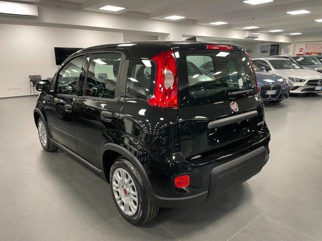 FIAT Panda 1.0 Hybrid 70 CV KM0 MY24