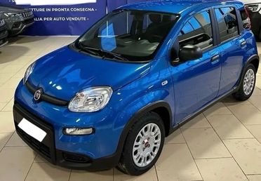 Fiat Panda 1.0FireFly Finanziaria senza busta paga