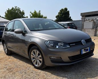 Volkswagen Golf 1.4 TGI 5p. Executive BlueMotion