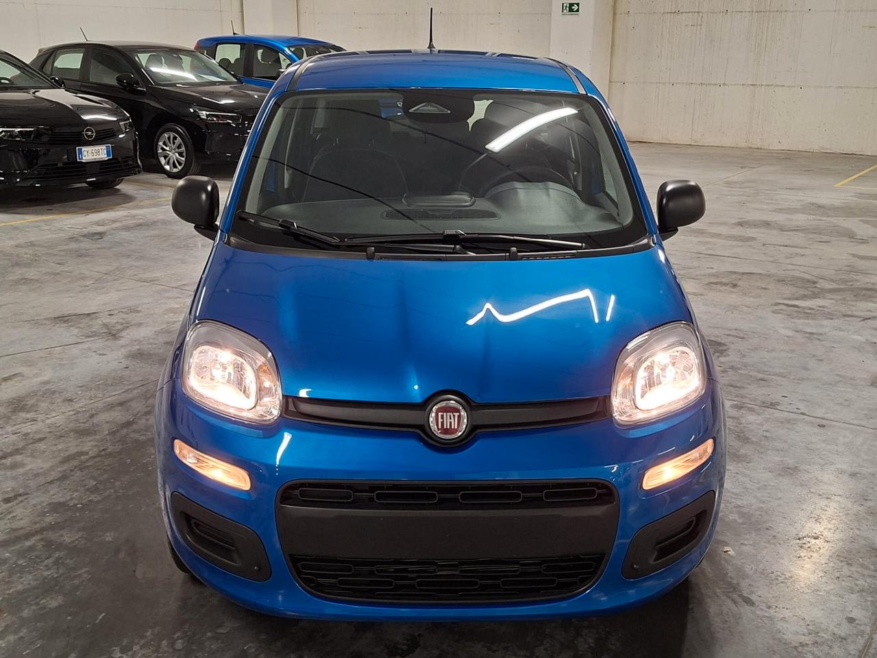 Fiat Panda 1.0 FireFly Hybrid 70CV Icon Km.0 (756)