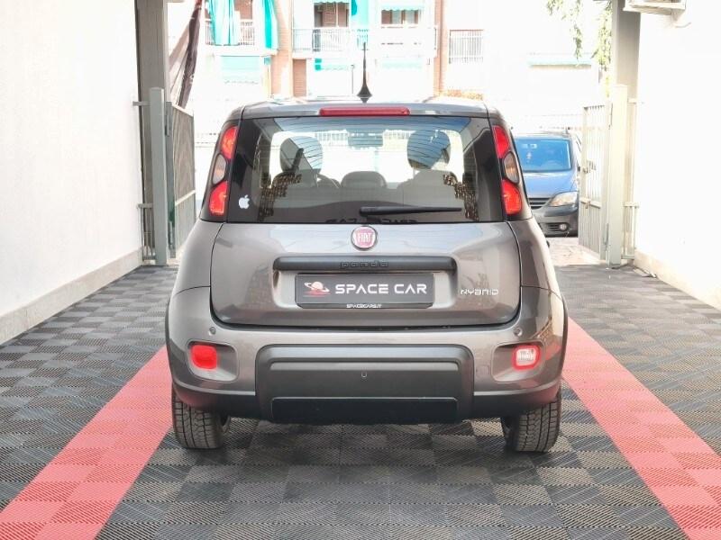FIAT Panda 3ª serie Panda 1.0 FireFly S&S Hybr...