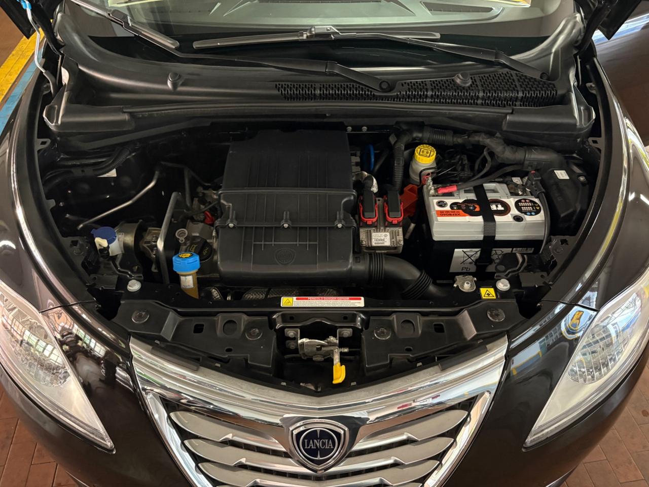Lancia Ypsilon 1.2 69 CV 5 porte S&S Gold NEOPATENTATI...!!!!!
