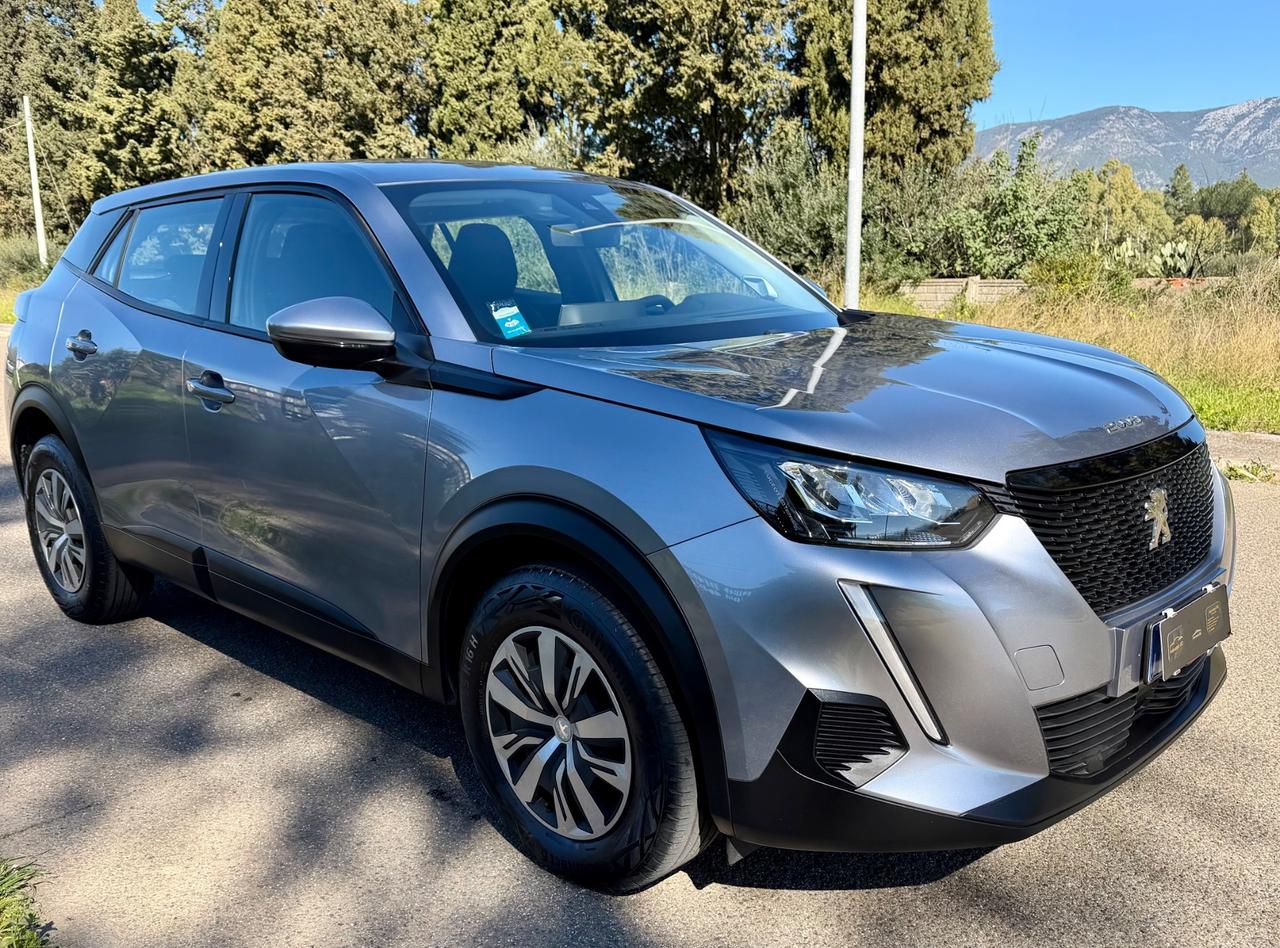 Peugeot 2008 BlueHDi 100 S&S Active