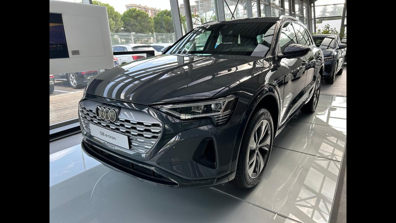 Audi Q8 e-tron 250/95