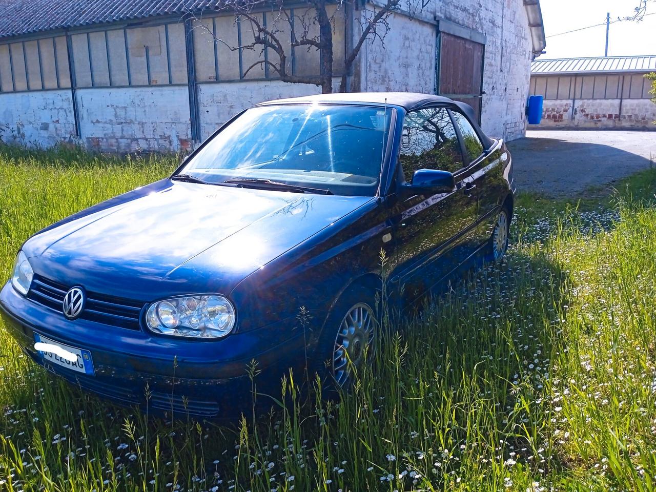 Volkswagen Golf Cabriolet 1.6 cat Highline ASI
