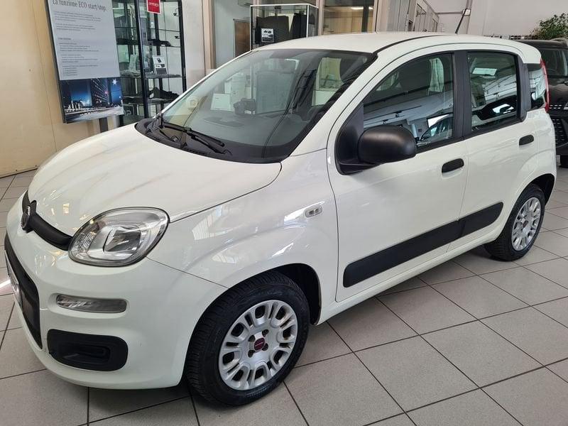 FIAT Panda Panda 1.2 Easy easypower Gpl 69cv my19