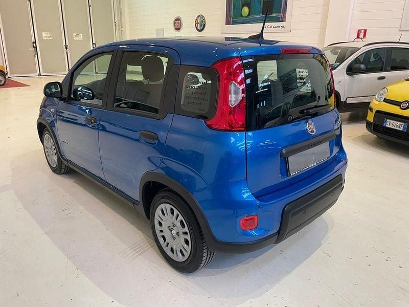 FIAT Panda 1.0 FireFly S&S Hybrid PRONTA CONSEGNA