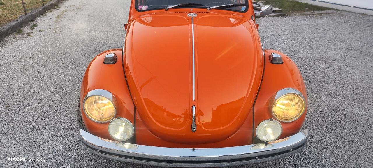 Volkswagen Maggiolino CABRIO o COUPE'