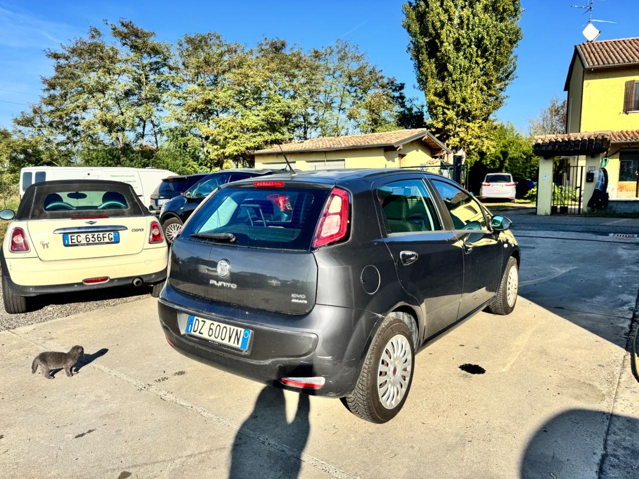 Fiat Punto Evo 1.2 5 porte Dynamic