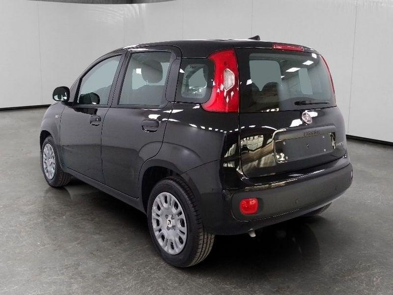 FIAT Pandina 1.0 firefly hybrid Icon s&s 70cv 5p.ti