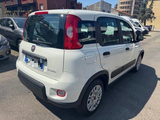 FIAT Panda 1.0 GSE S&S Hybrid Street (AUTOCARRO N1)