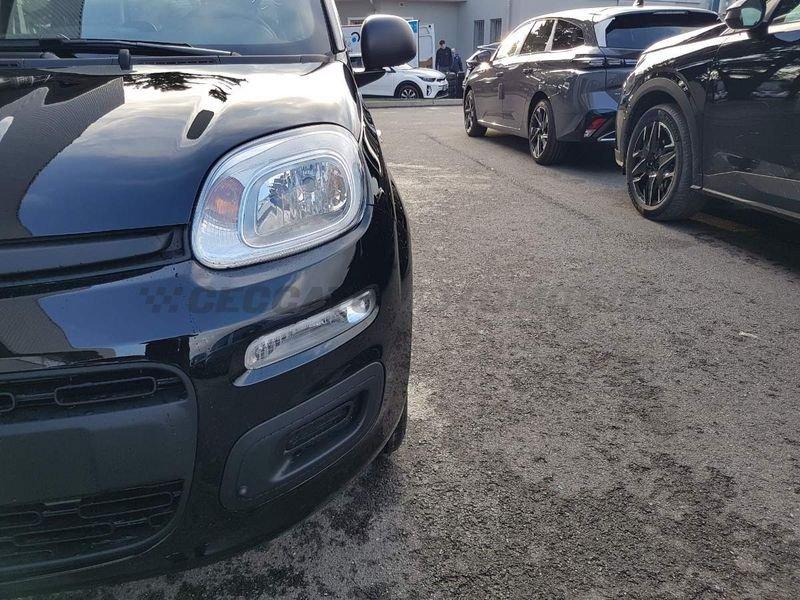 FIAT Panda Panda 1.0 firefly hybrid s&s 70cv