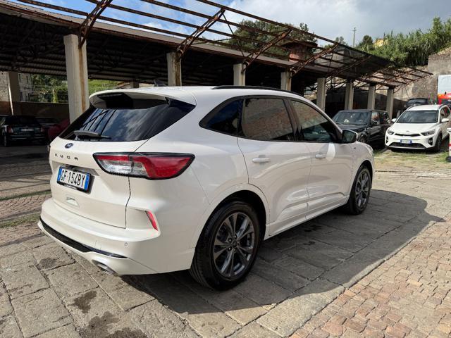 FORD Kuga 1.5 EcoBoost 150 CV 2WD ST-Line X
