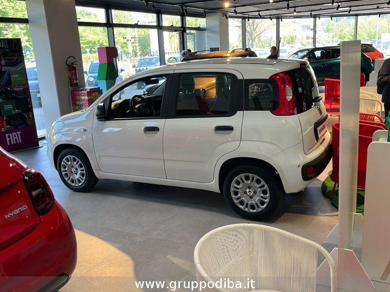 FIAT Panda 1BH 1.0 70cv Hybrid Icon