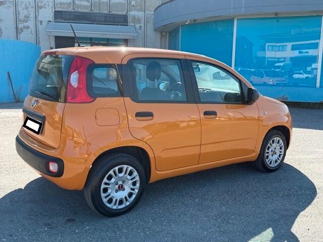 Fiat Panda 1.2 Easy iva esposta