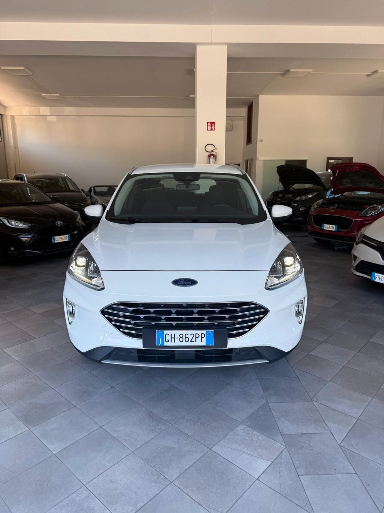 Ford Kuga 1.5 EcoBlue 120 CV aut. 2WD Titanium Business