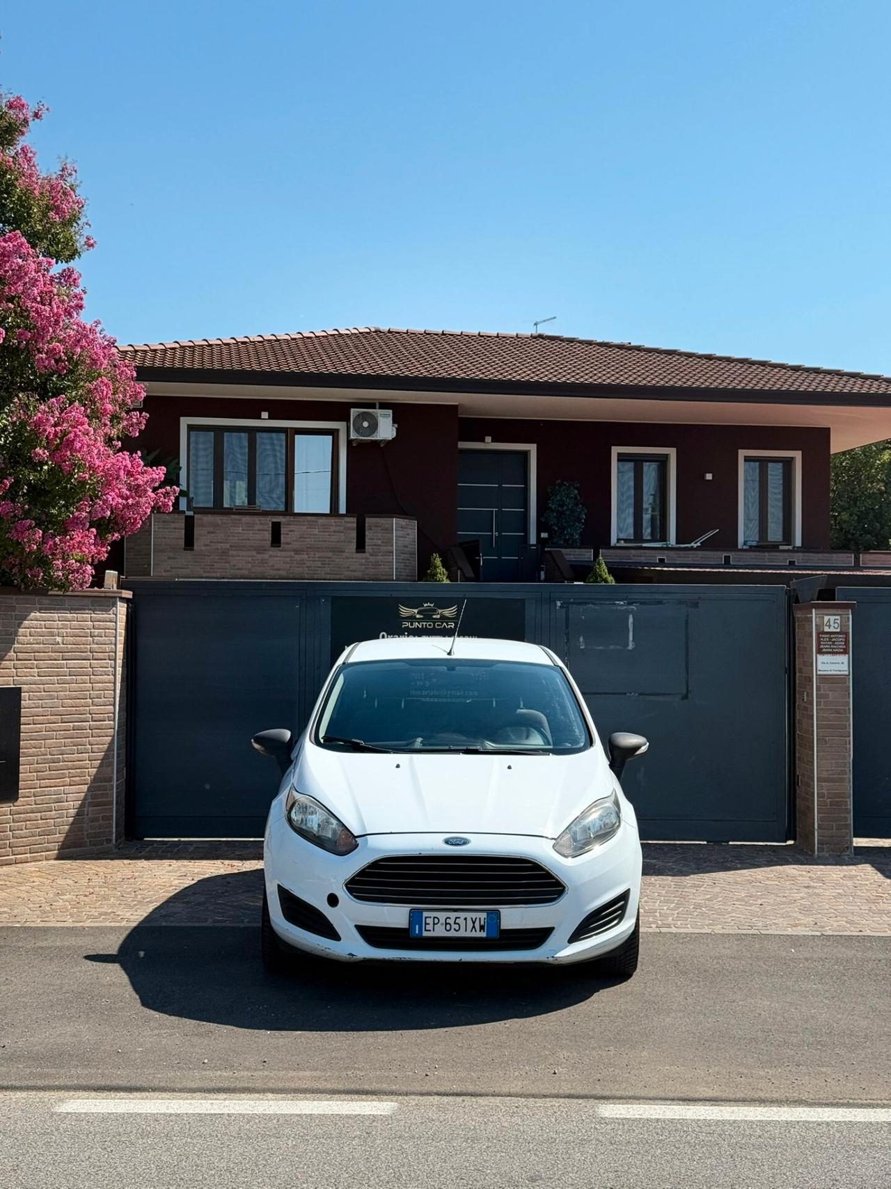 Ford Fiesta 1.5 TDCi 75CV 3 porte Van Entry