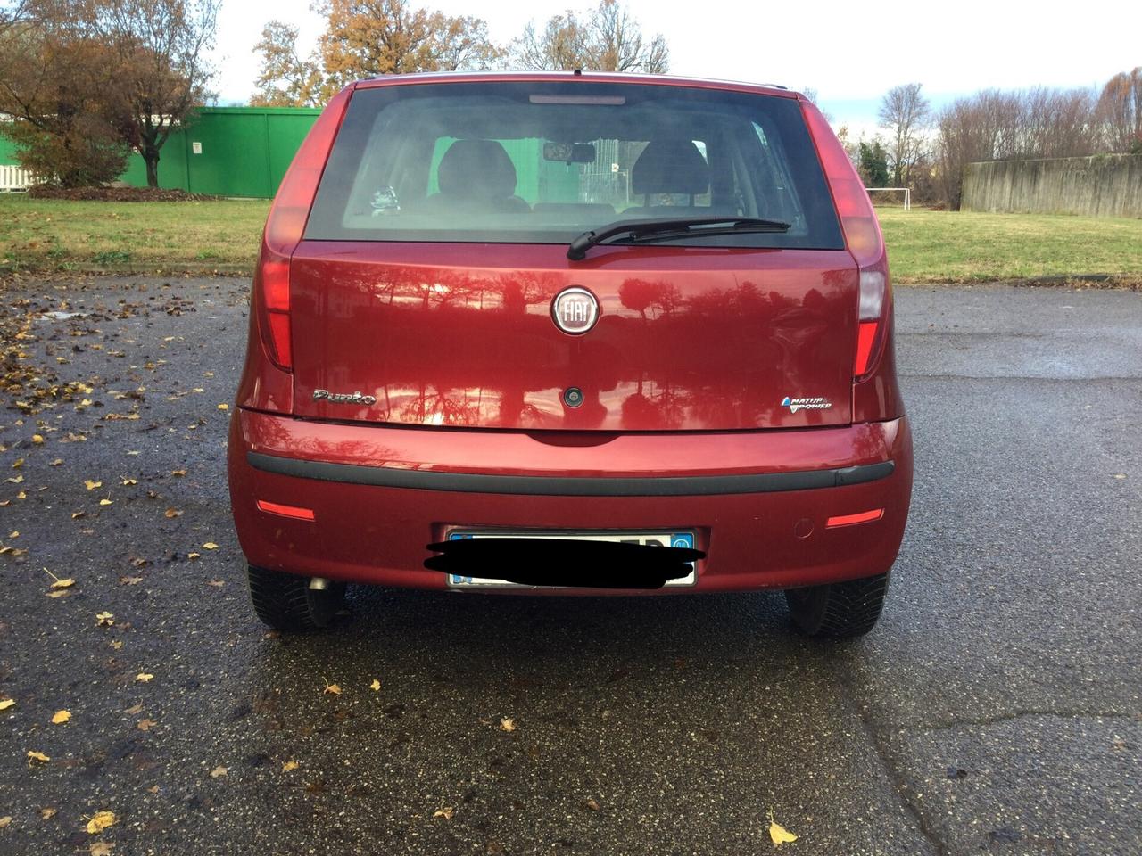 Fiat Punto Metano Neopatentati - 2008