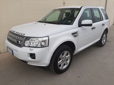 Land Rover Freelander 2 SW 2.2 SD4 190cv Aut. SE