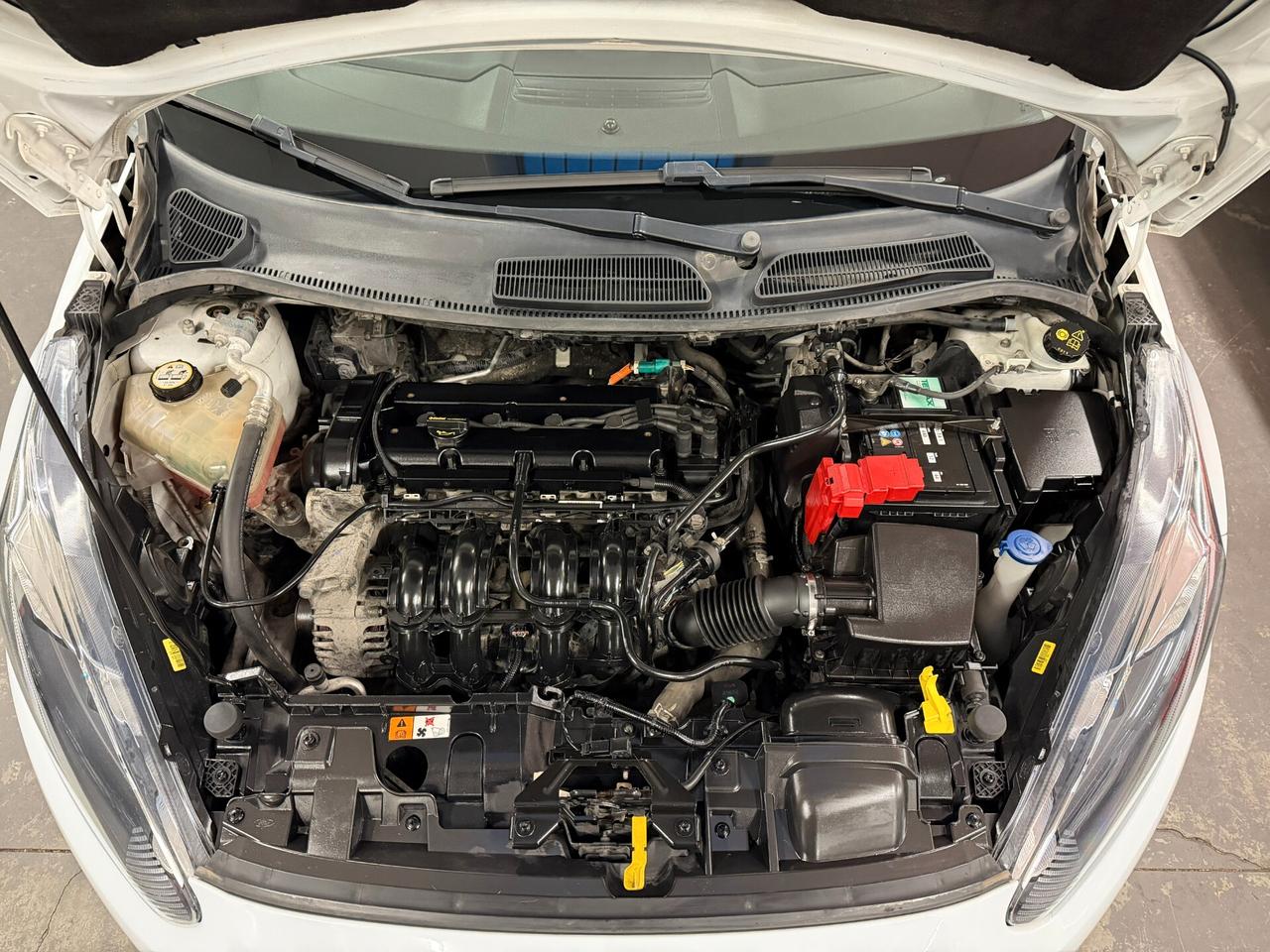 Ford Fiesta 1.2 60CV 5 porte Titanium