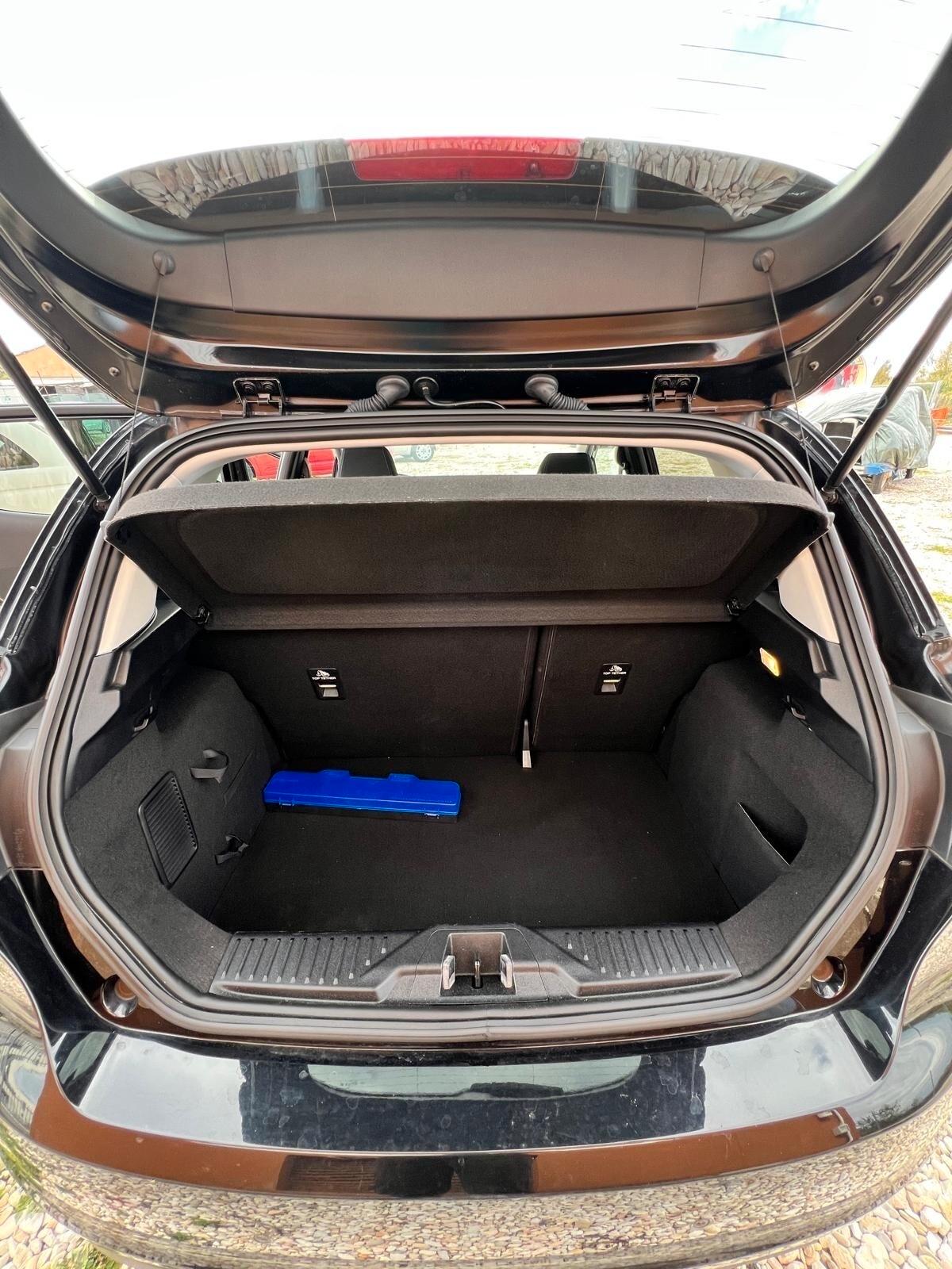 Ford Fiesta 1.5 EcoBlue 5 porte Vignale