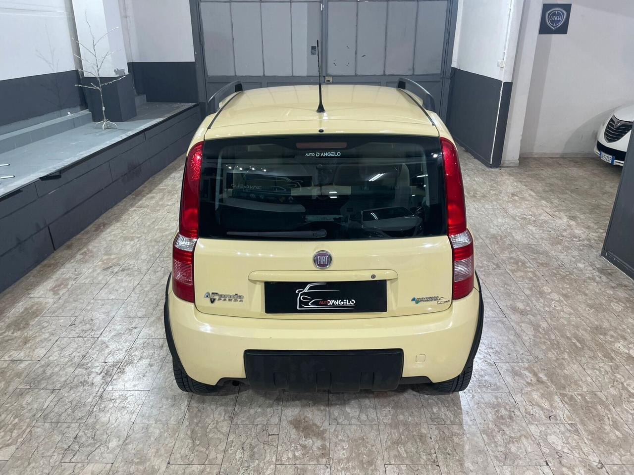 Fiat Panda 1.2 Climbing Natural Power