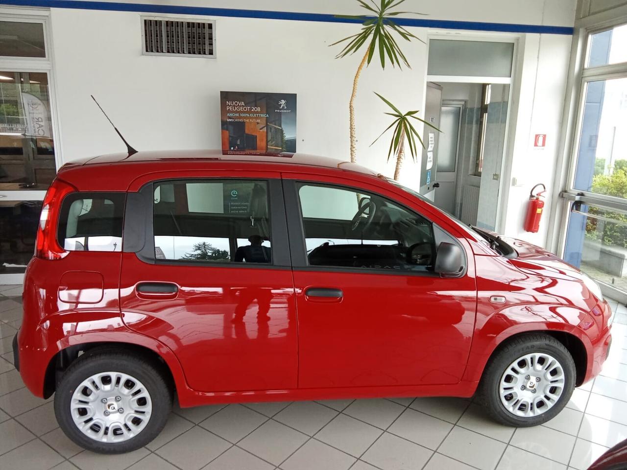 Fiat Panda 1.0 FireFly S&S Hybrid 70cv