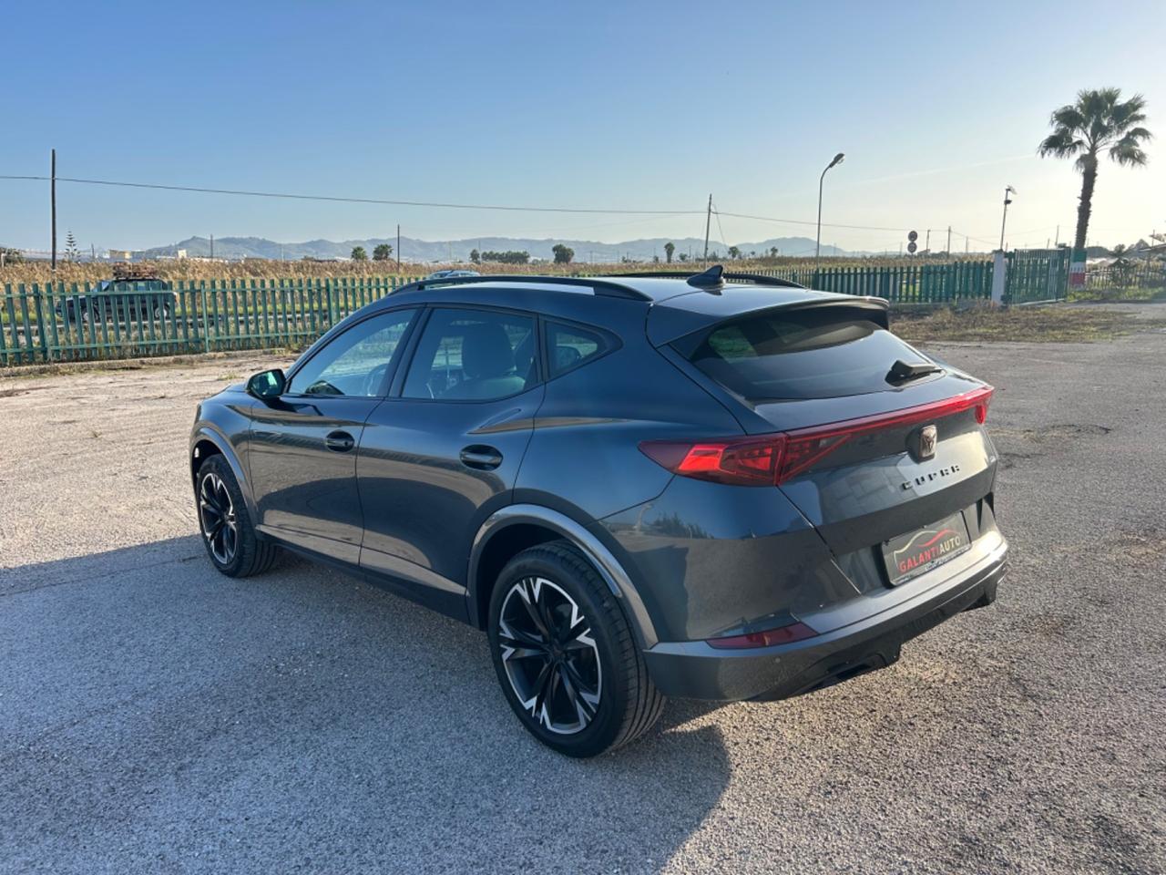 Cupra Formentor 2.0 TDI