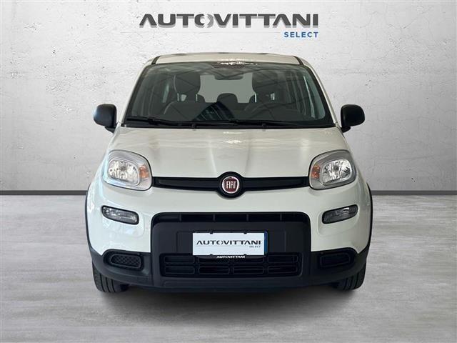 FIAT Panda 1.0 FireFly Hybrid 70cv City Life S&S 5p.ti