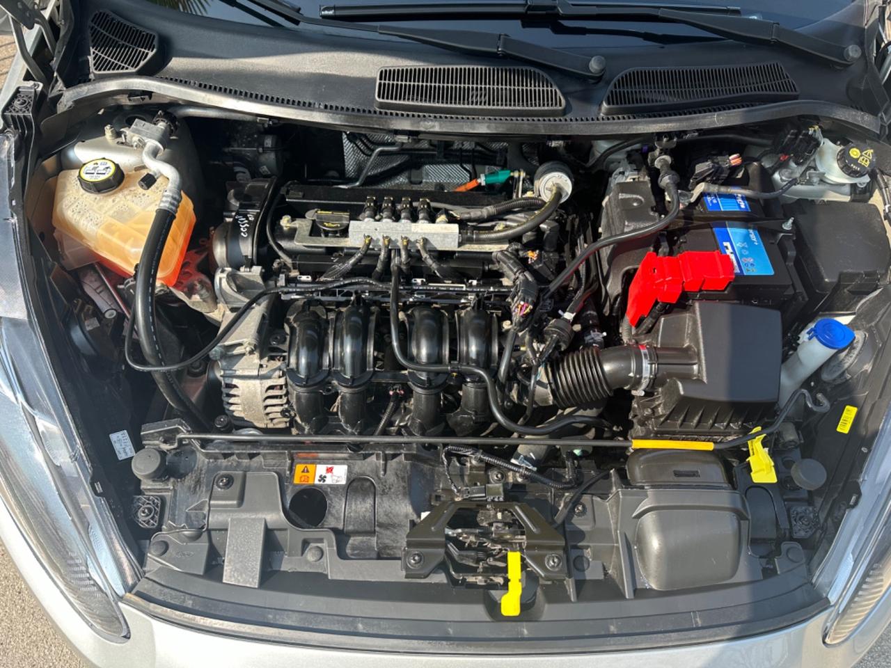 Ford Fiesta 1.4 5 porte Bz.- GPL Business