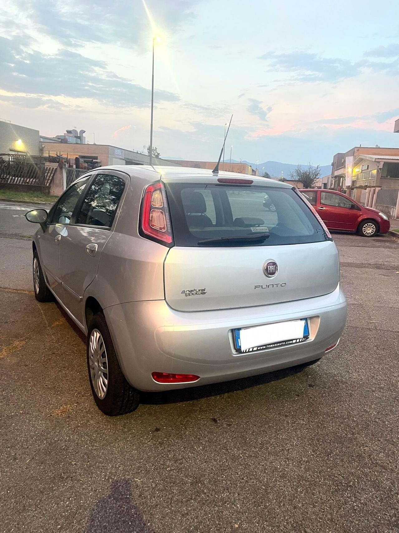 Fiat Punto 1.2 8V 5 porte Benzina-Metano 2013