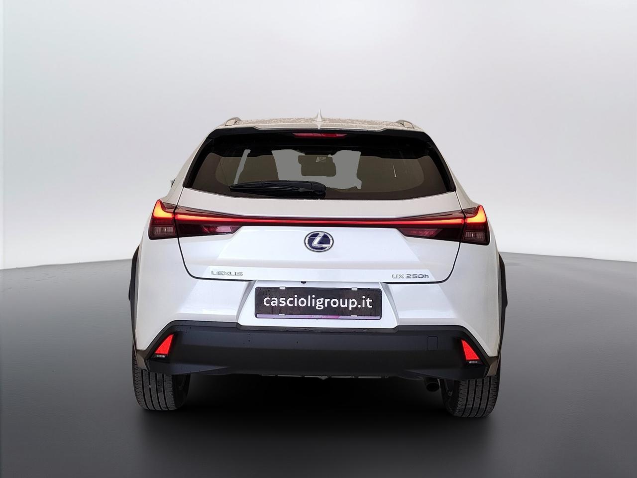 LEXUS UX 2019 - UX 250h 2.0 Business 2wd cvt my20