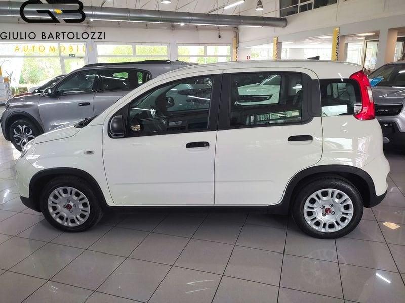 FIAT Panda 1.0 FireFly 70cv S&S Hybrid