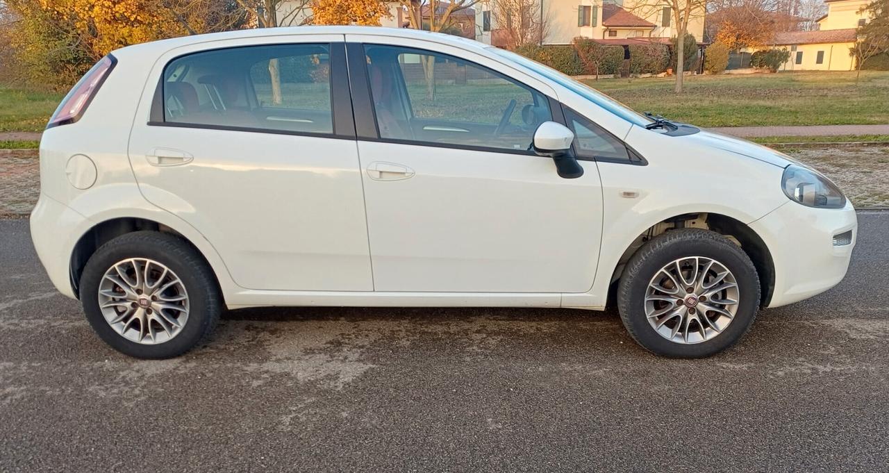 Fiat Punto 1.4 8V 5 porte Easypower Easy