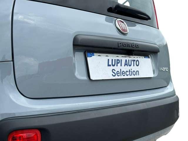 Fiat Panda 1.0 firefly hybrid s&s 70cv