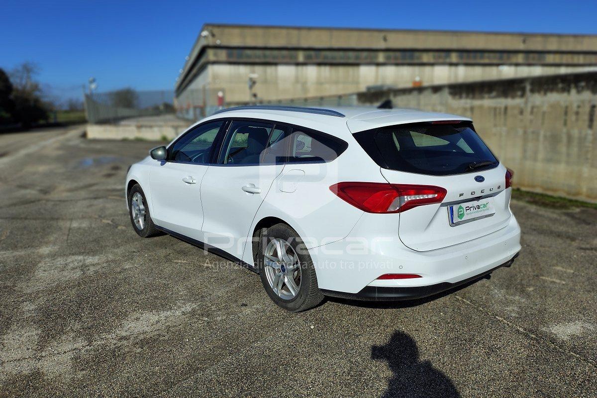 FORD Focus 1.5 EcoBlue 120 CV automatico SW Business