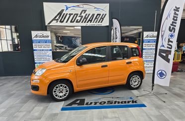 FIAT NEW PANDA CITY LIFE HYBRID 70CV 2020 XNEOPATENTATI