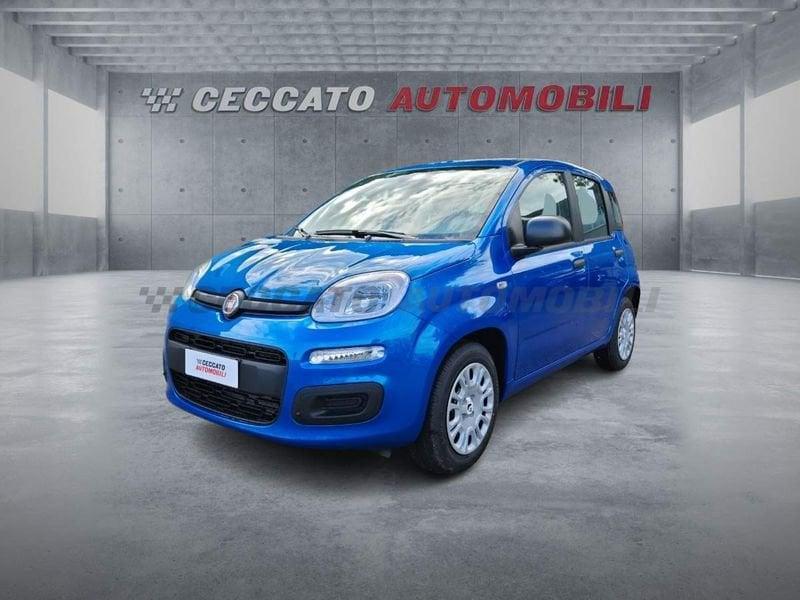FIAT Panda Panda 1.0 firefly hybrid s&s 70cv