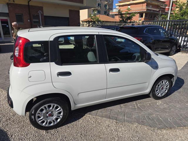 FIAT Panda 1.0 FireFly S&S Hybrid Eas 5 posti no obbligo fina