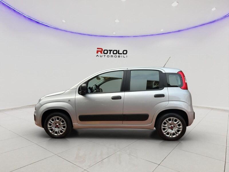 FIAT Panda 3ª serie Panda 1.2 Easy