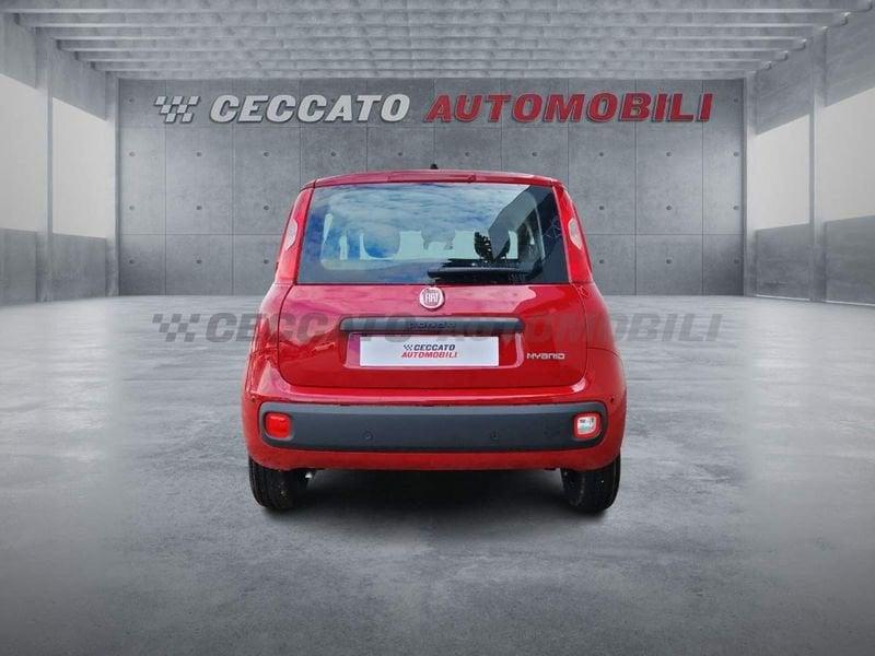 FIAT Panda Panda 1.0 firefly hybrid s&s 70cv
