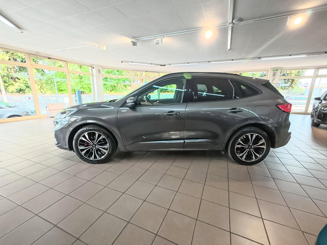 Ford Kuga 2.0 EcoBlue 120 CV aut. 2WD ST-Line X