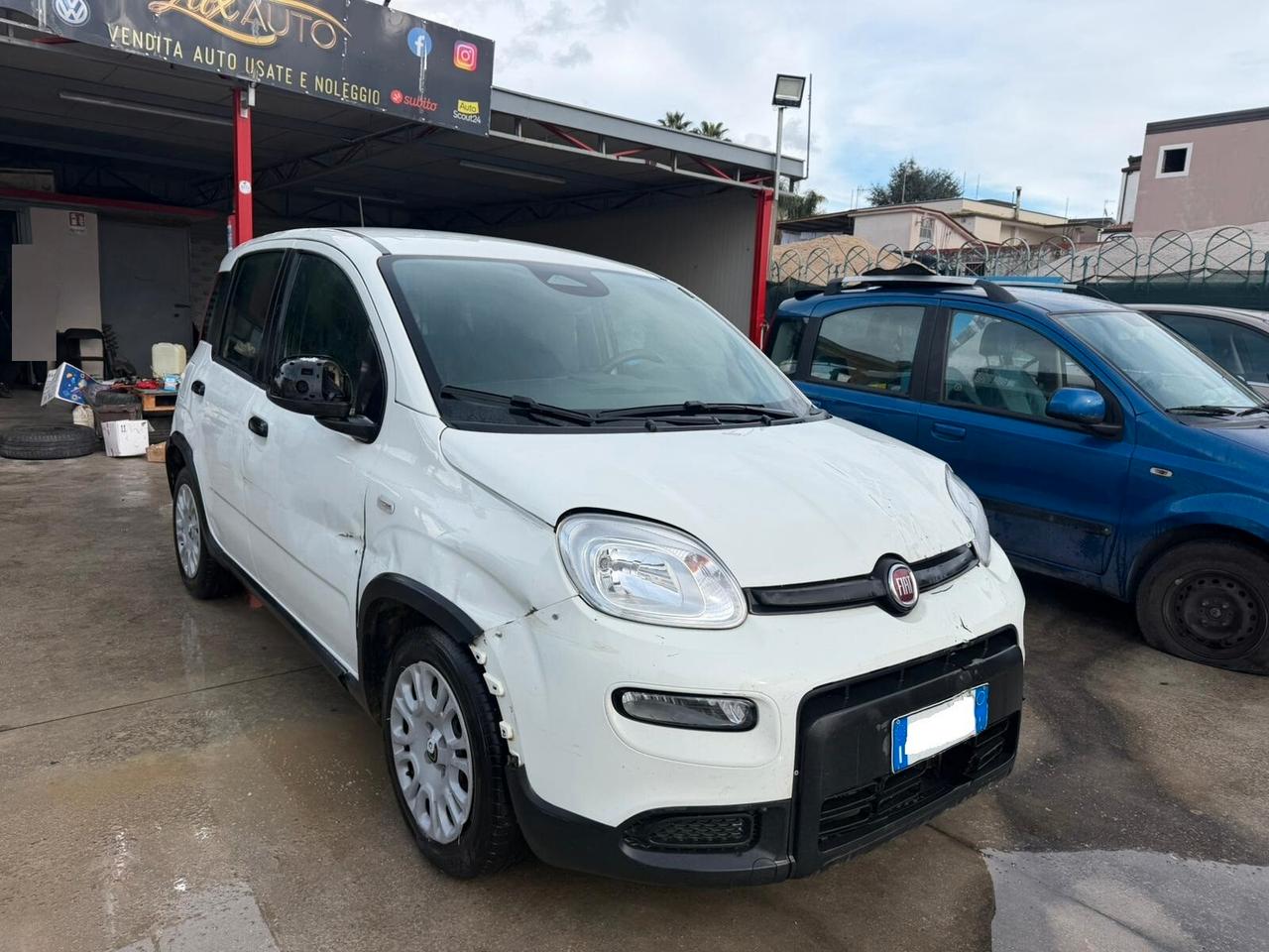 Fiat Panda 1.0 Pandina - 2024