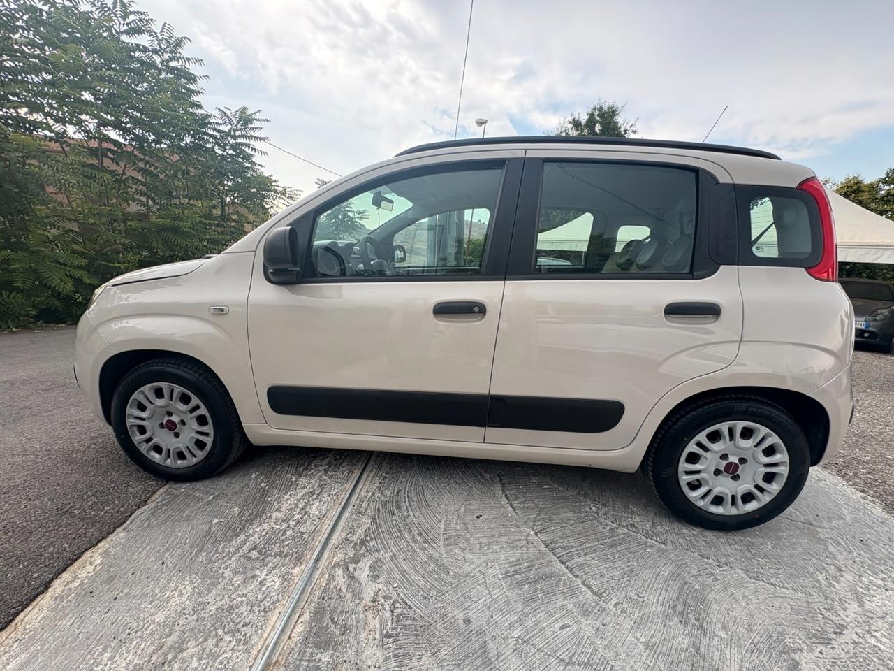 Fiat Panda 1.2 Easy (UNICA PROPRIETARIA)