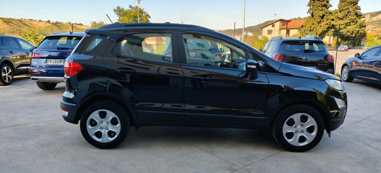 Ford EcoSport 1.0 EcoBoost 100 CV Business
