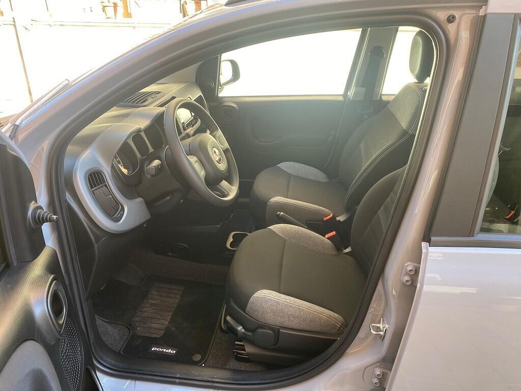 FIAT Panda 1.0 FireFly 5 porte S&S Hybrid NOLEGGIO